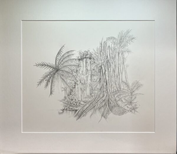 Rainforest 1 Pencil Drawing