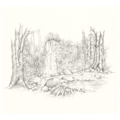 Tranquil Forest Limited Edition Artwork Print