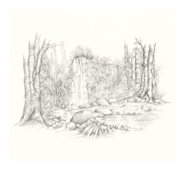 Tranquil Forest Limited Edition Artwork Print