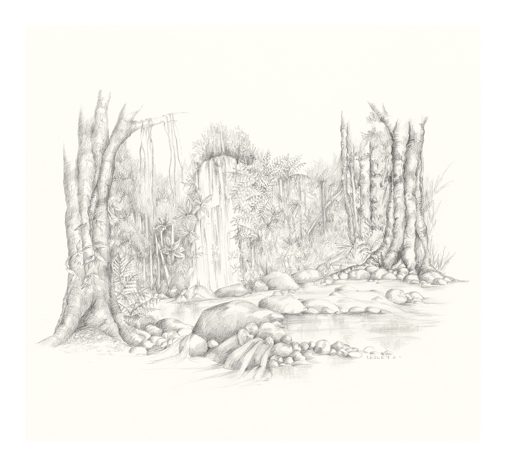 Tranquil Forest Pencil Drawing Lesley Davies Art