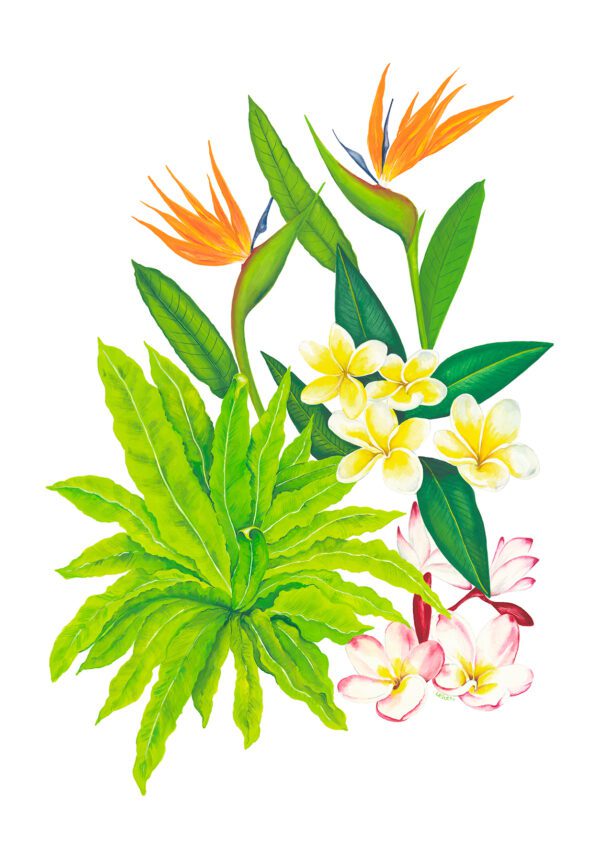 Tropical Flowers Limited Edition Artwork Print