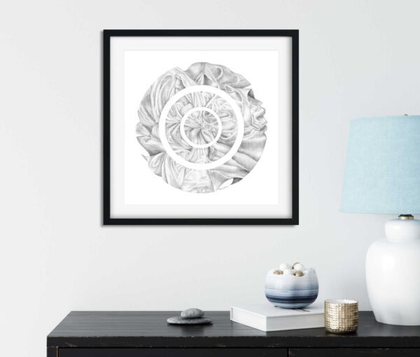 Circular Drapes Limited Edition Print